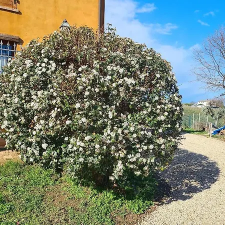 Tenuta Lanza *